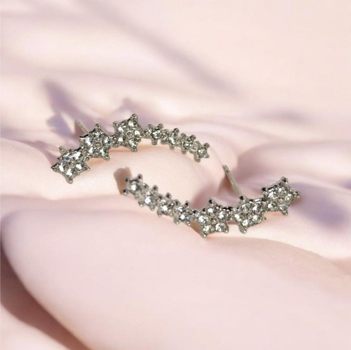 Boucles d'oreilles Acier Inoxydable