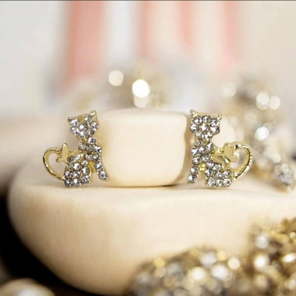 Puce d'oreilles chat zircon