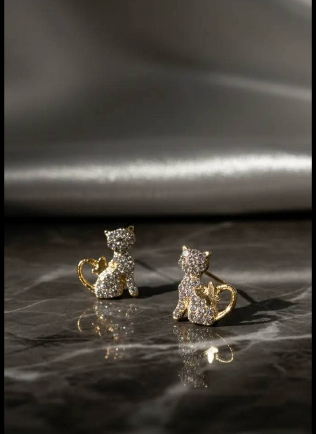 Puce d'oreilles chat zircon