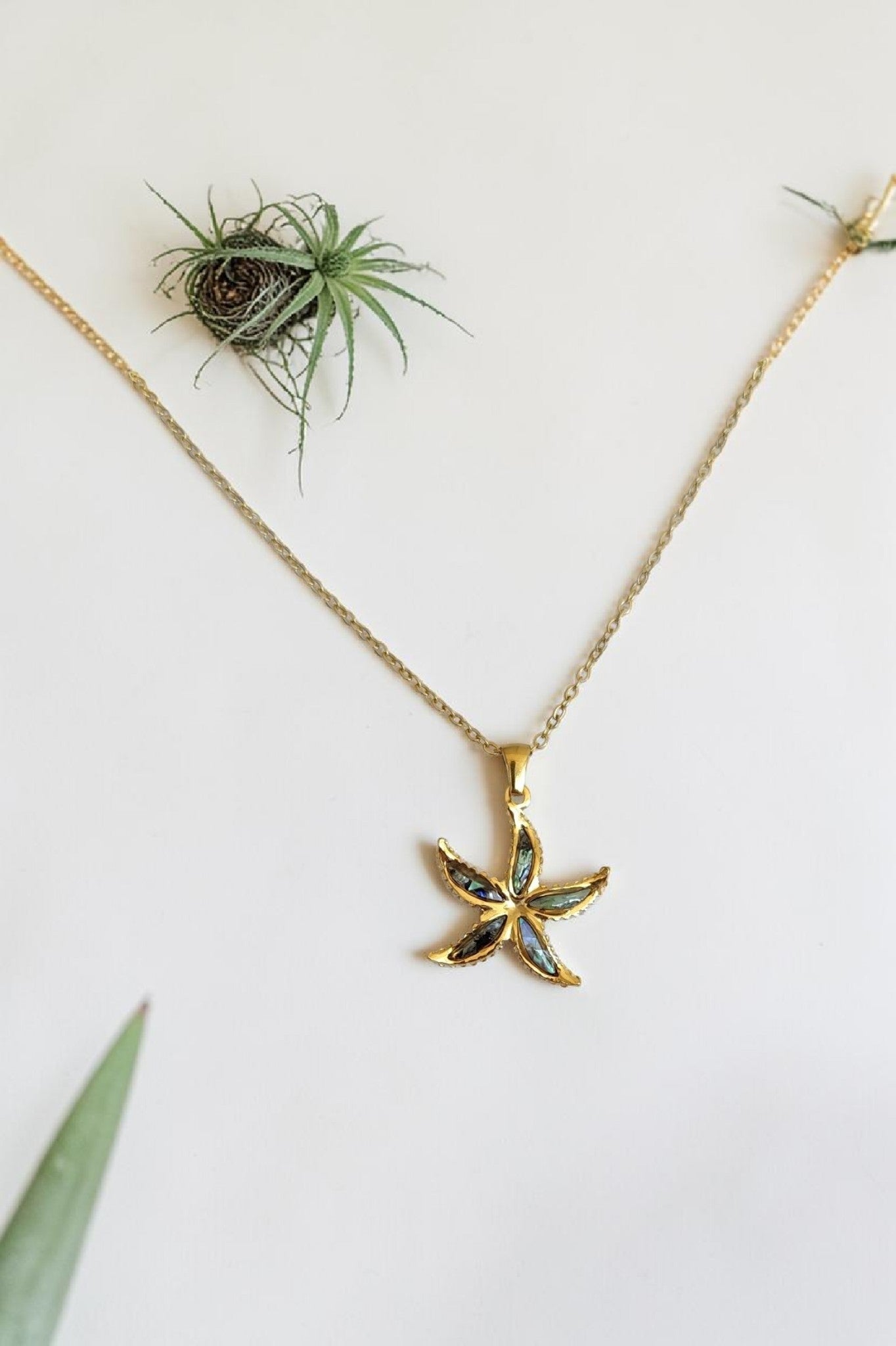 Collier Étoile de Mer Nacrée