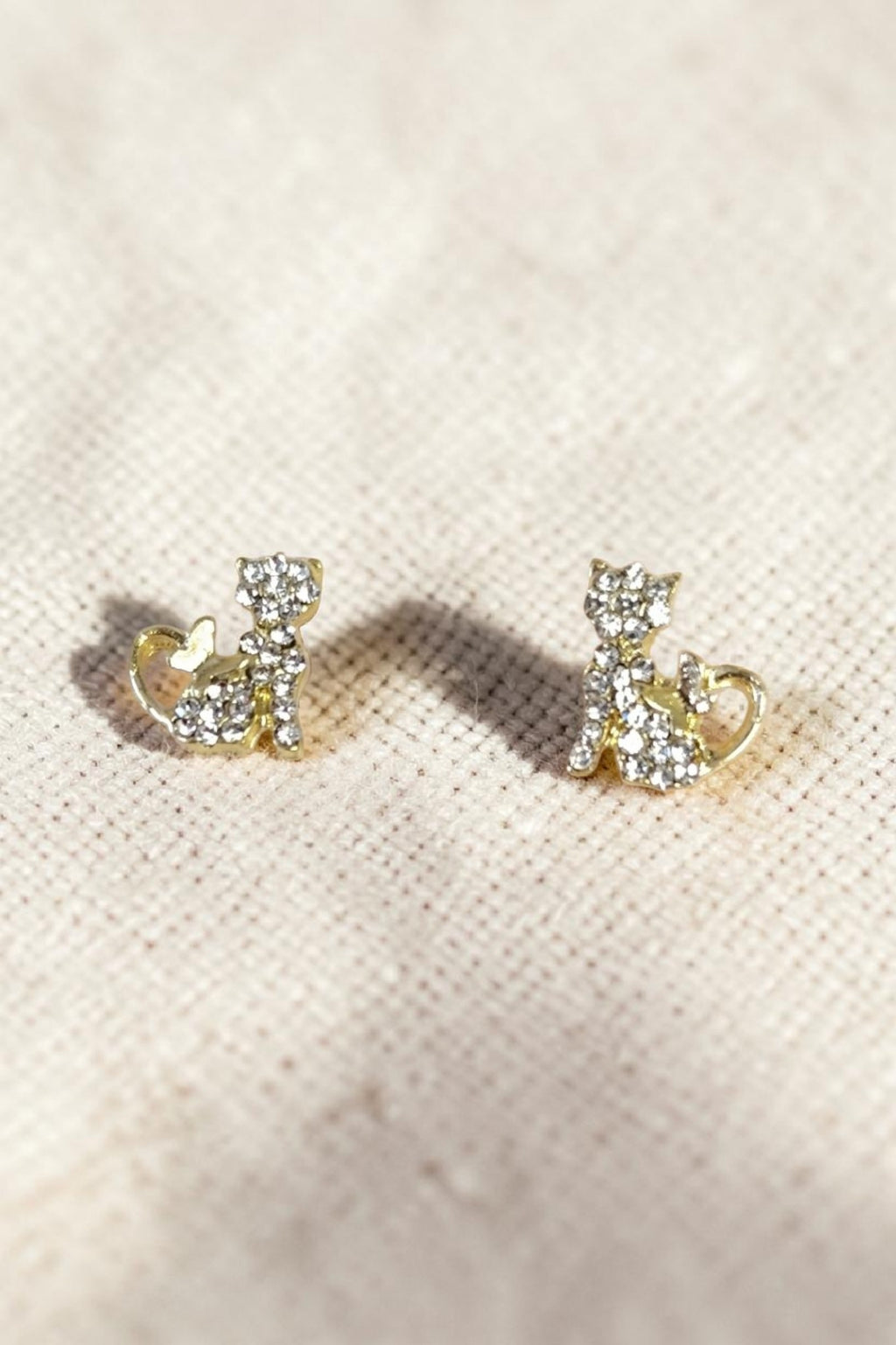Puce d'oreilles chat zirconium